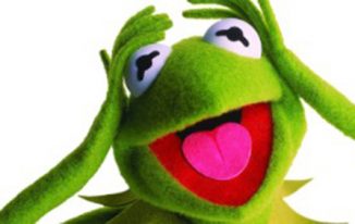 kermit-the-frog-look-alike