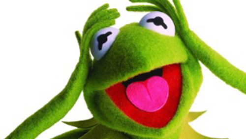 kermit-the-frog-look-alike