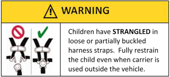 06a-child-safety-warning-label